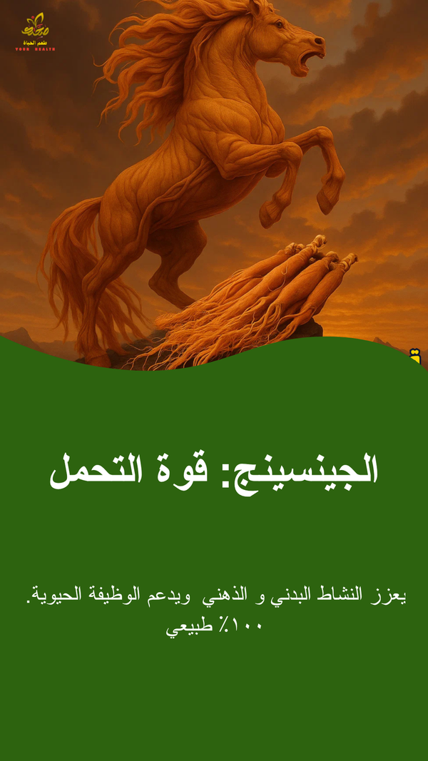 جنسنج 8 سنوات