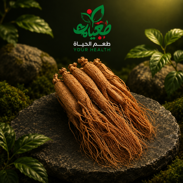 جنسنج كوري أحمر فريش - عمر 8 سنوات